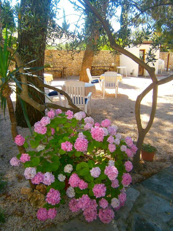 Bed & Breakfast Pansion Rade Hotel Пировац Екстериор снимка